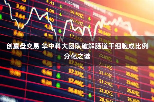 创赢盘交易 华中科大团队破解肠道干细胞成比例分化之谜